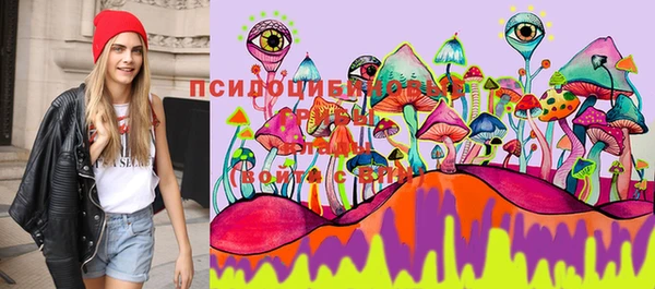крисы Валуйки