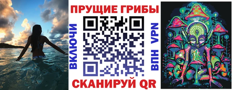 где продают   Избербаш  Галлюциногенные грибы GOLDEN TEACHER 