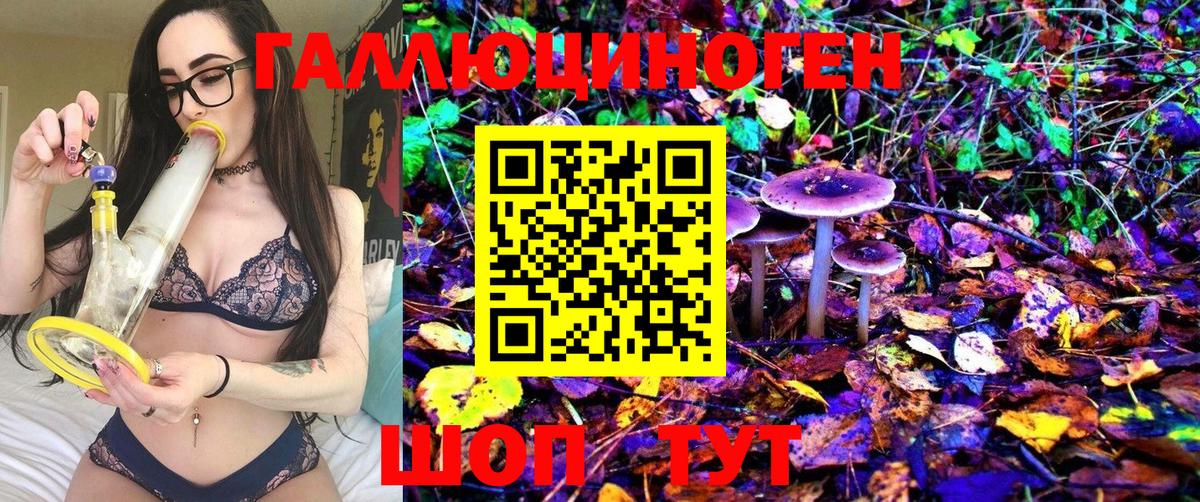 Избербаш  Галлюциногенные грибы Psilocybe  Вход с VPN 